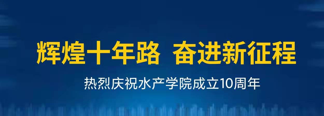 輝煌十年路 奮進新征程